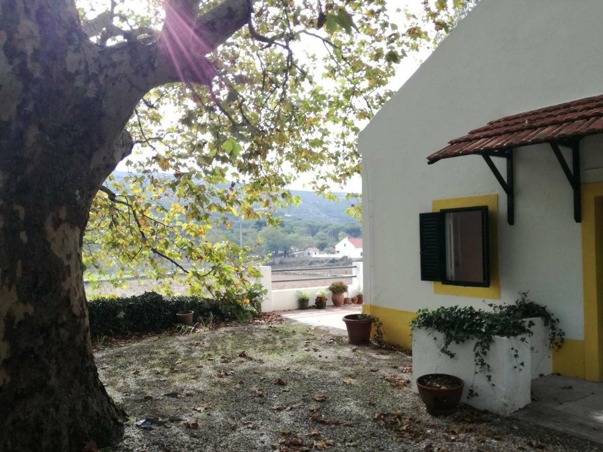 Montejunto Villas - Casa do Plátano Cadaval Exterior foto